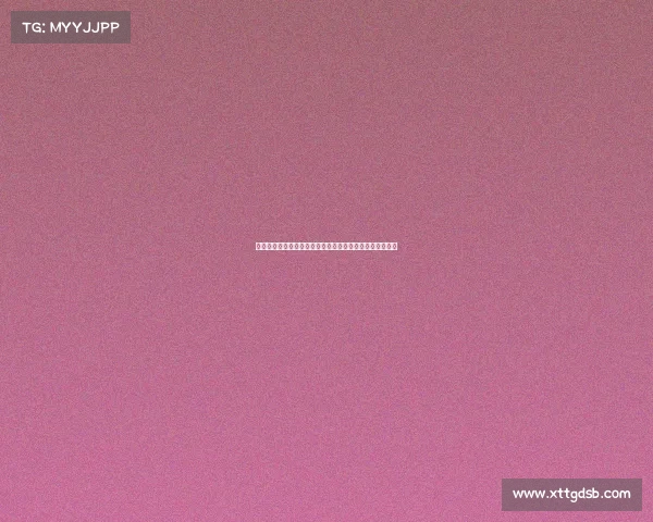 伊朗挑战西班牙卡塔尔世界杯小组赛激烈对决争夺出线名额